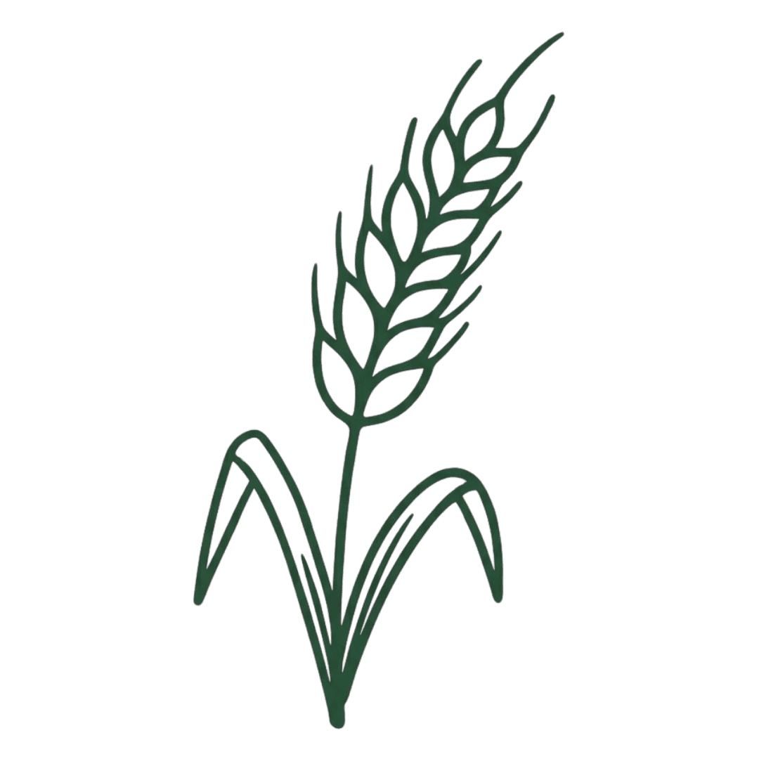 Sustainable Farming